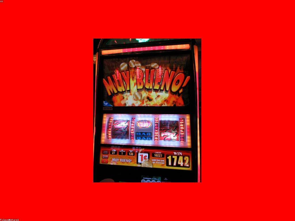 ការបើកកាស៊ីណូ: ជំហានដើម្បីសម្រេចបានភាពជោគជ័យ