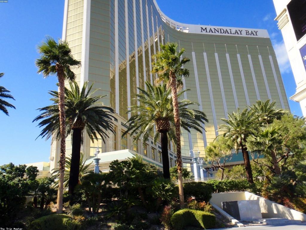 ααΆαααααα½αααΆαααΈααΌ: ααΆαααααα½ααααααααααααααΆαααααΎα