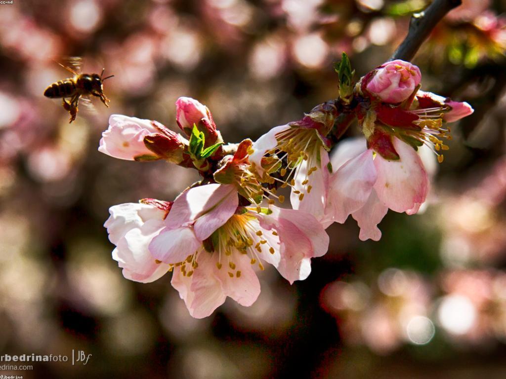យុទ្ធសាស្ត្រសម្រាប់ការបើកកាស៊ីណូ