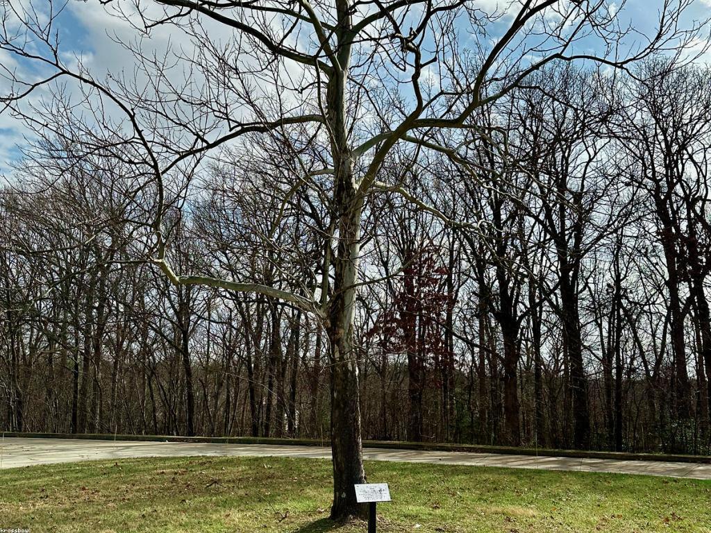 សារៈសំខាន់នៃអត្ថបទសំខាន់ៗក្នុងការអប់រំអនឡាញ